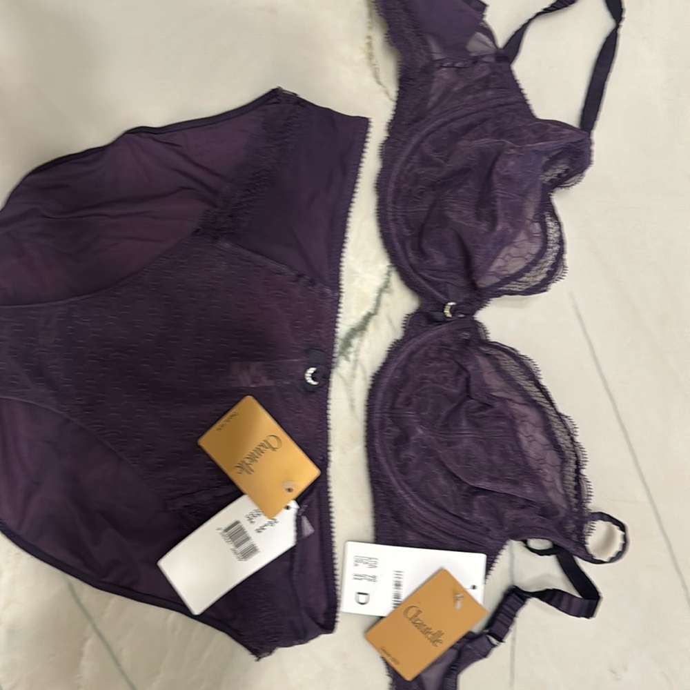 Pretty purple bra and panty set